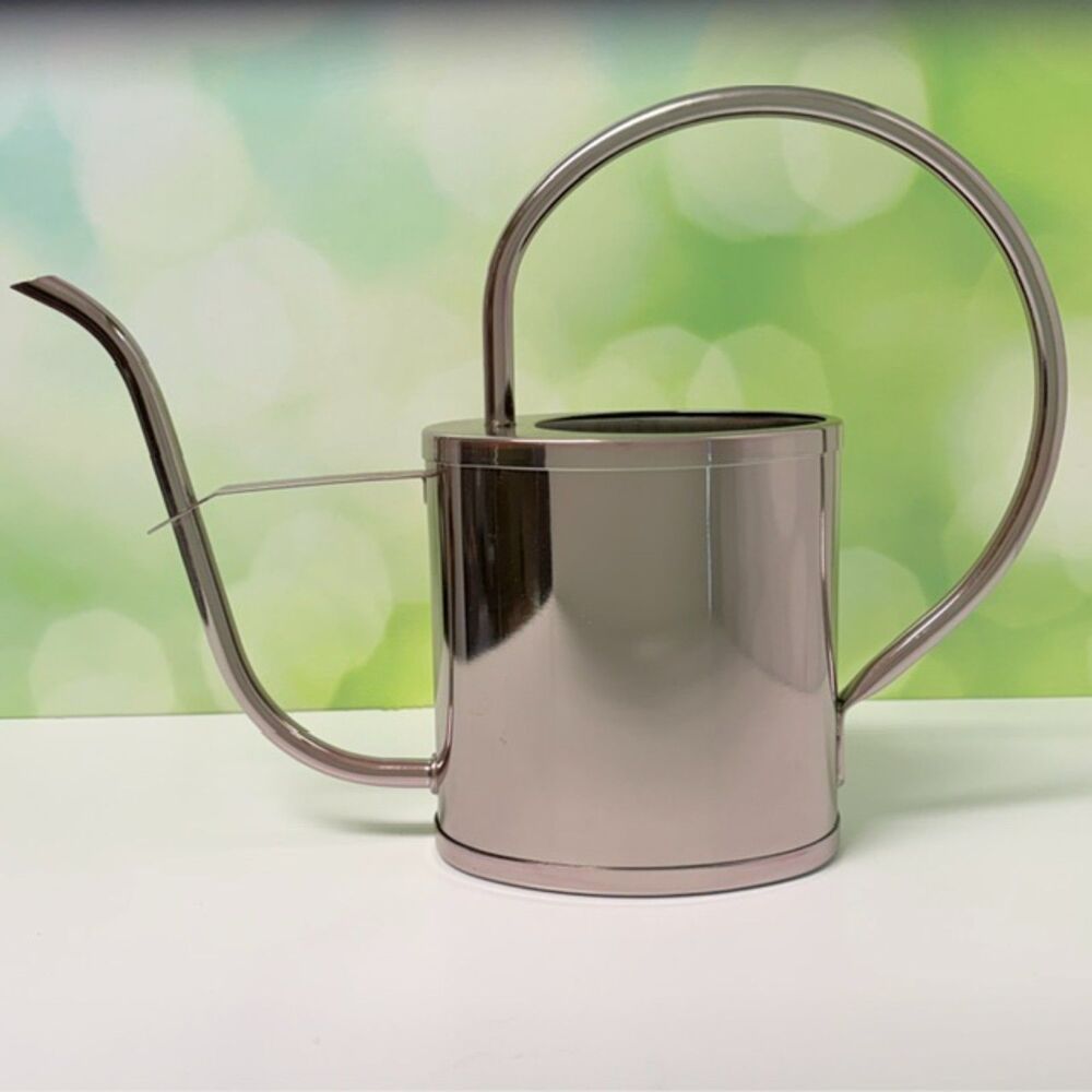 Modern Stainless Steel Watering Can Long Spout Round Handle Silver Indoor Plants